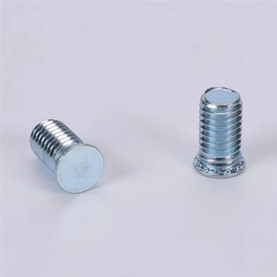 Self -clinching Screw